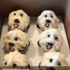 Meet your Posher, Adam